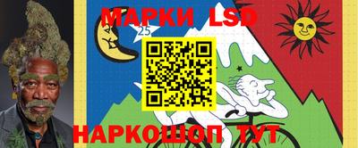 гидропоника Будённовск