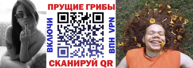 купить наркоту  Городец  Галлюциногенные грибы мицелий 